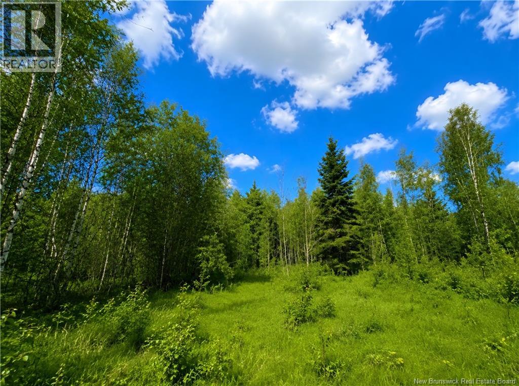 LOT Monteagle Road - Photo 4