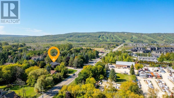 734 Mountain Rd, Collingwood, ON 3