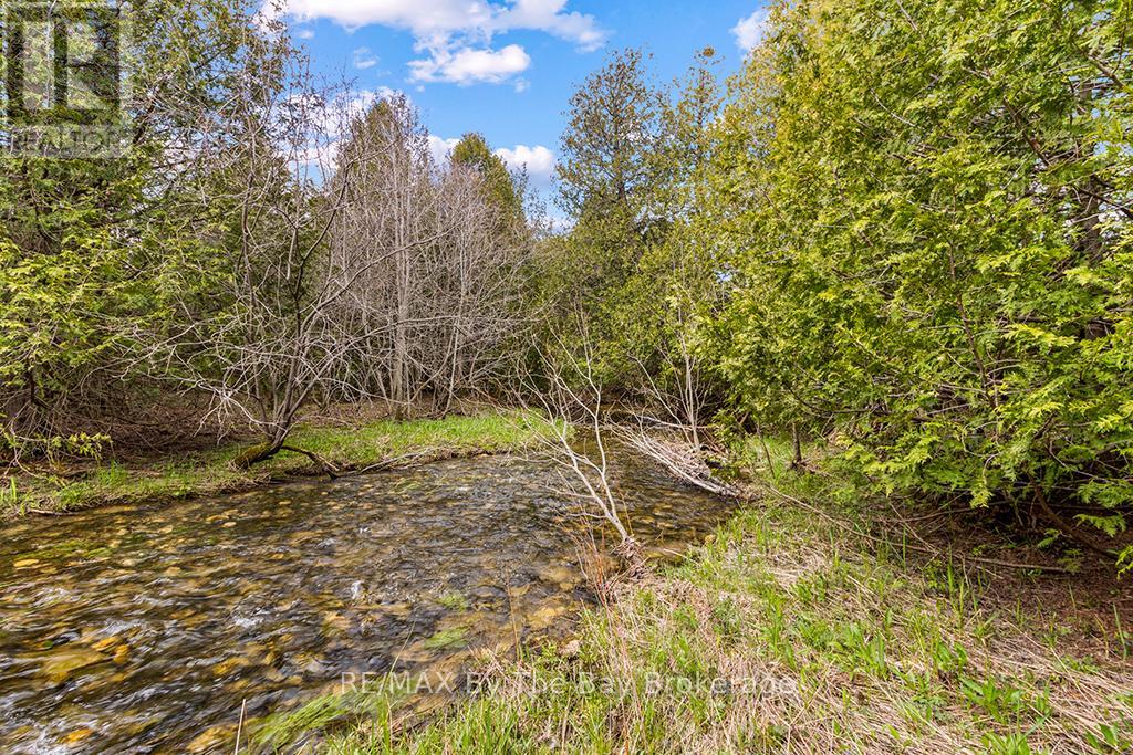 353814 OSPREY ARTEMESIA TOWNLINE