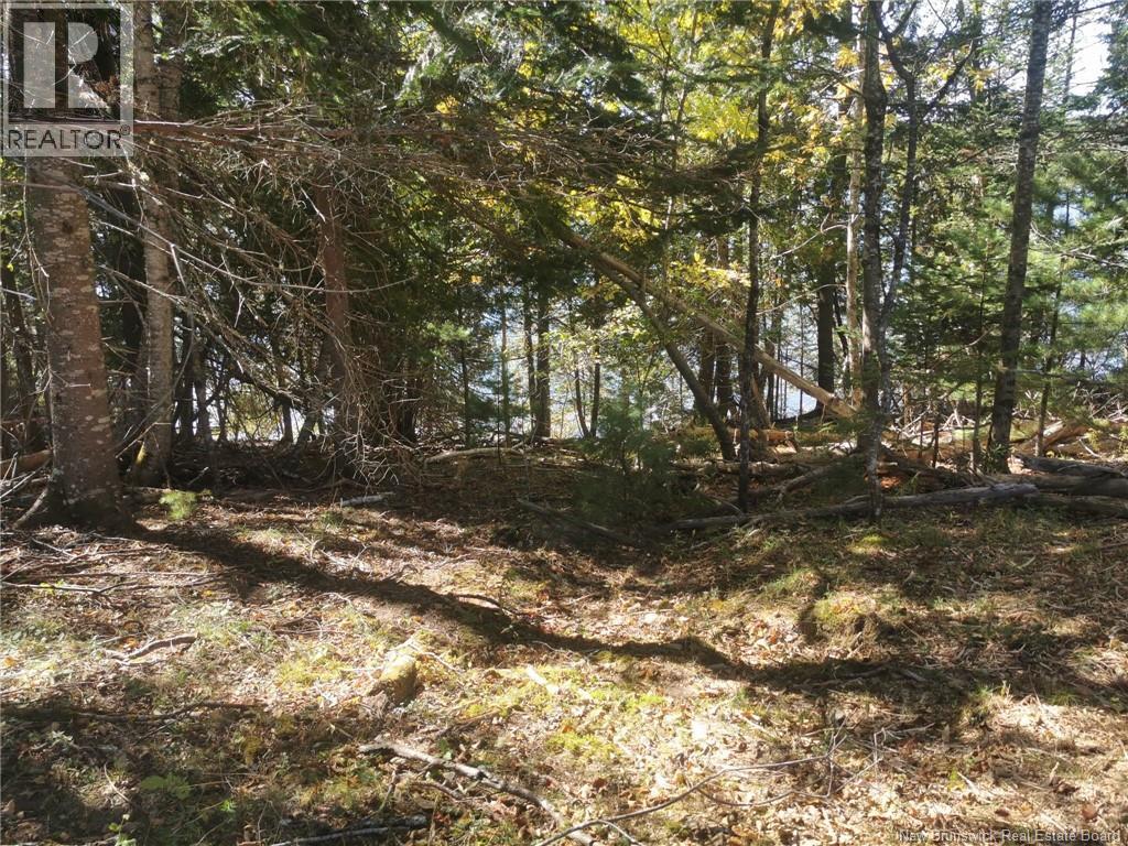 32 Moran Lane - Photo 3