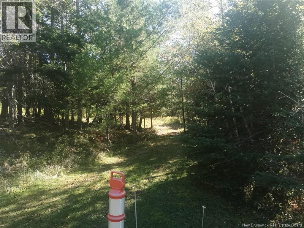 32 Moran Lane - Photo 4