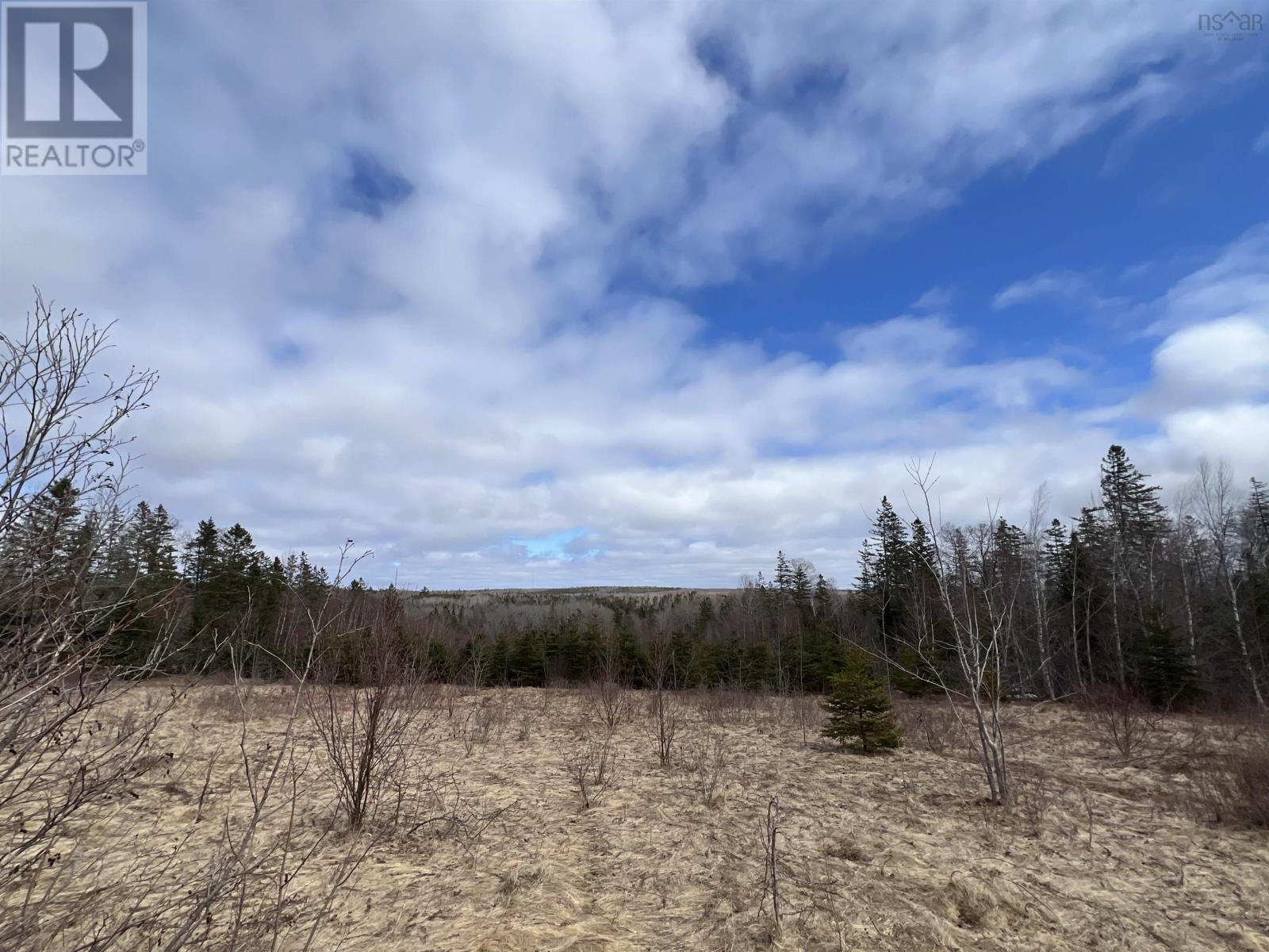 Lot R Greenfield Road - Photo 2