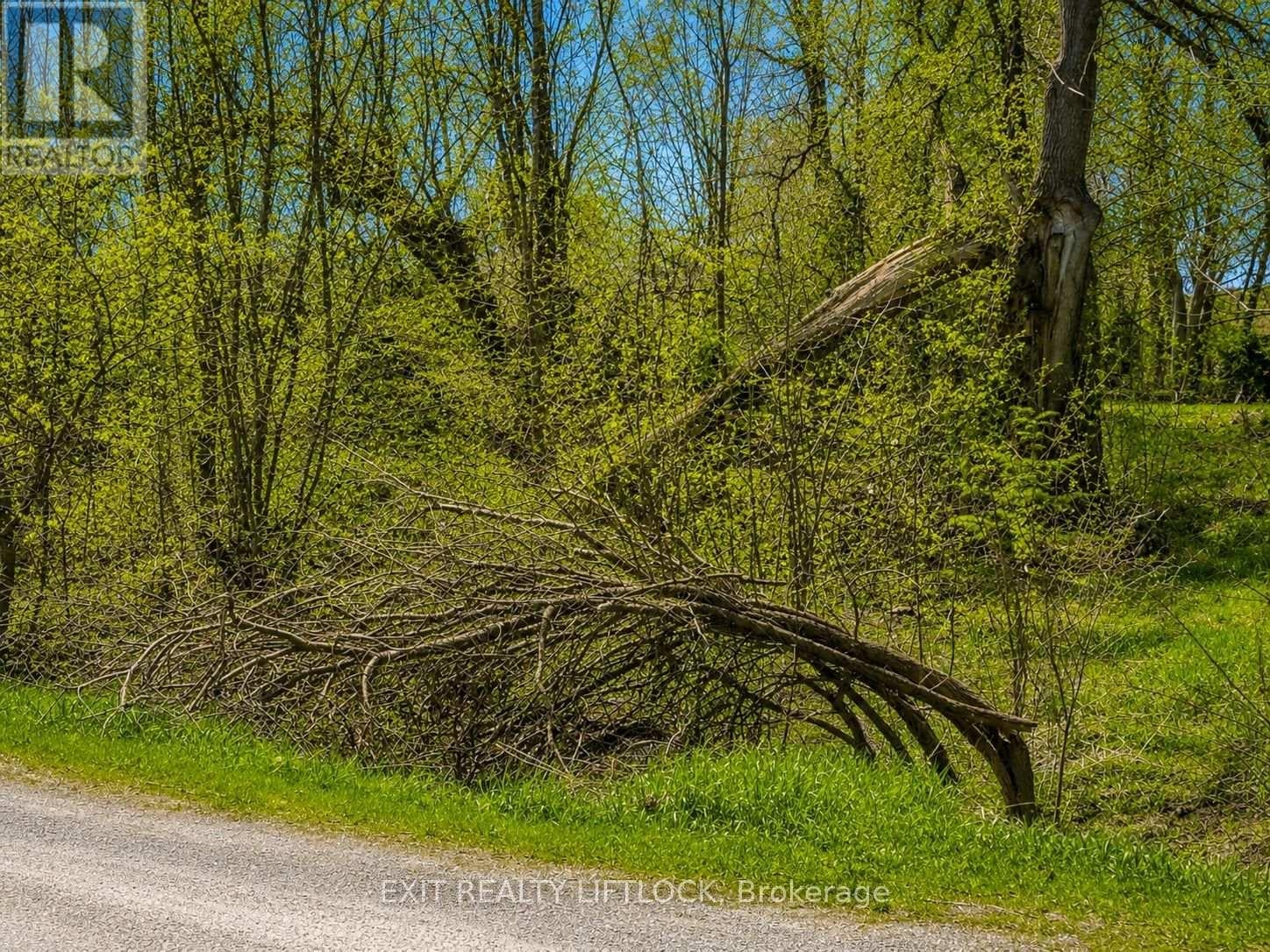 0 MAPLE RIDGE DRIVE - Photo 3