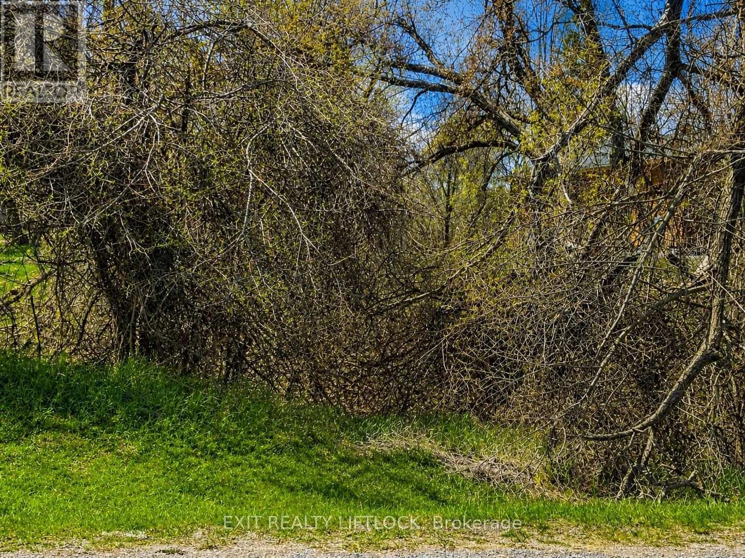 0 MAPLE RIDGE DRIVE - Photo 2