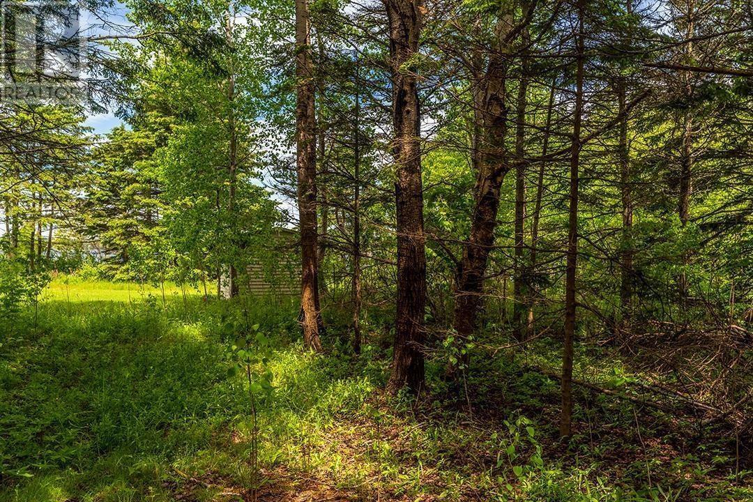 LOT 107 RIVERBANK Drive - Photo 4