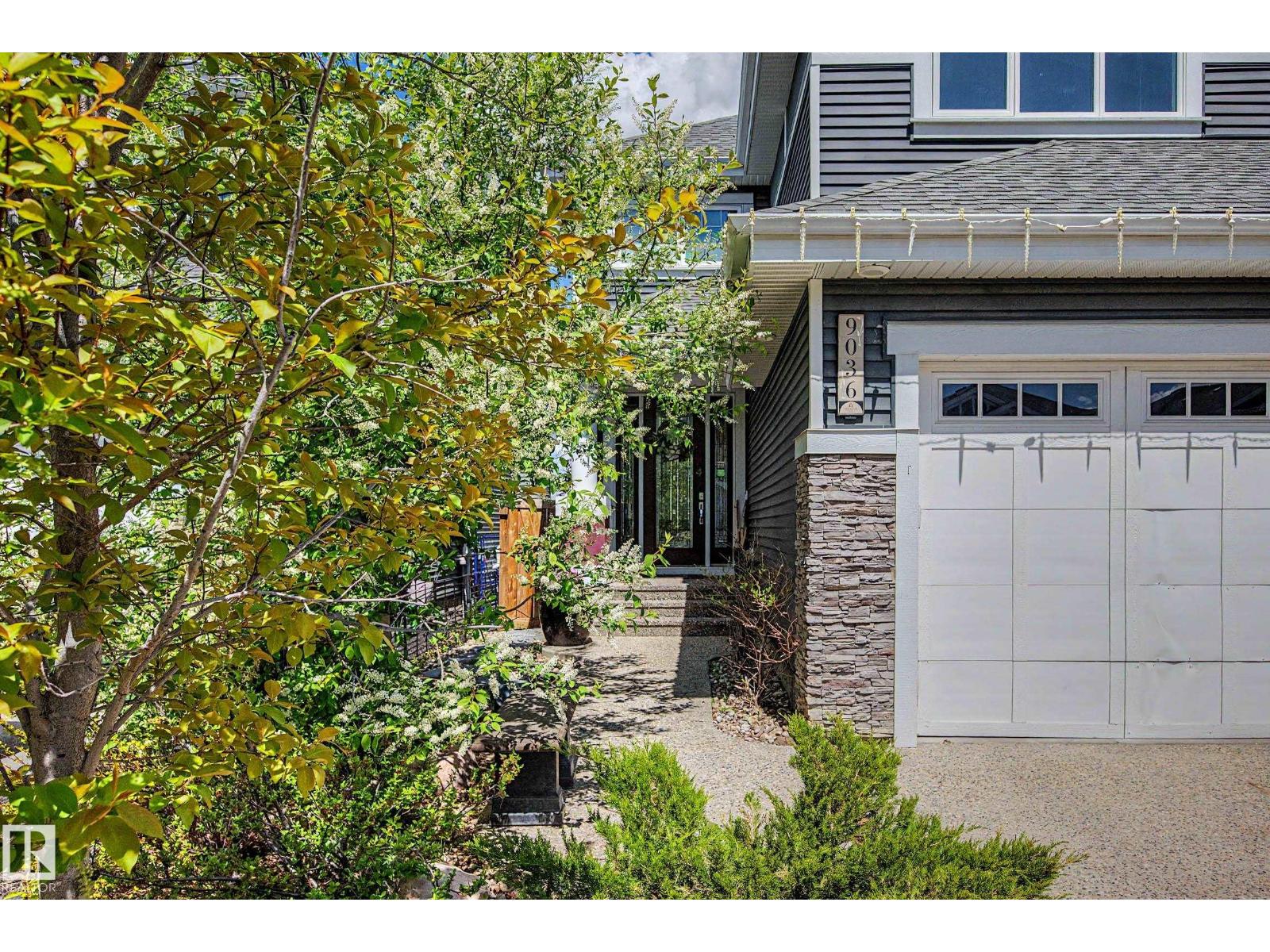 9036 24 AV SW
