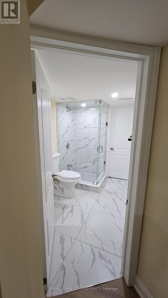 BASEMENT - 102 BUNCHBERRY WAY