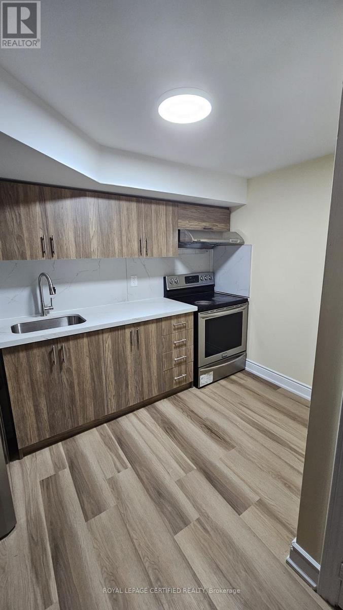 BASEMENT - 102 BUNCHBERRY WAY