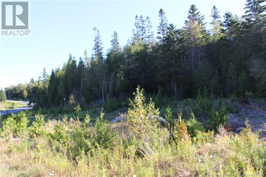 00 Drury Cove Road - Photo 2