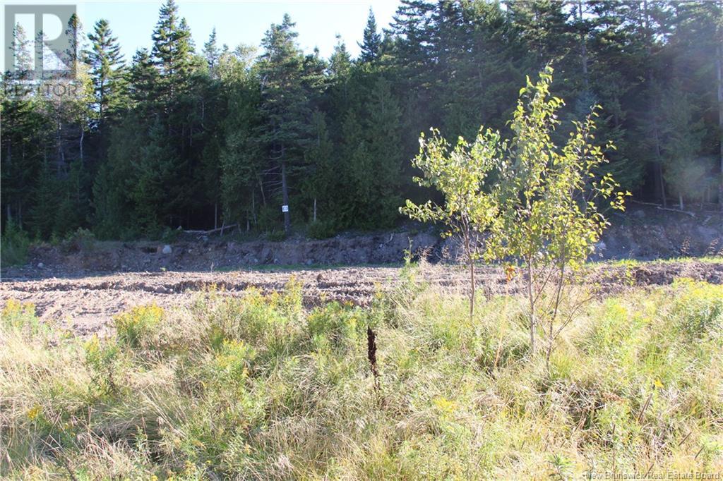 00 Drury Cove Road - Photo 3