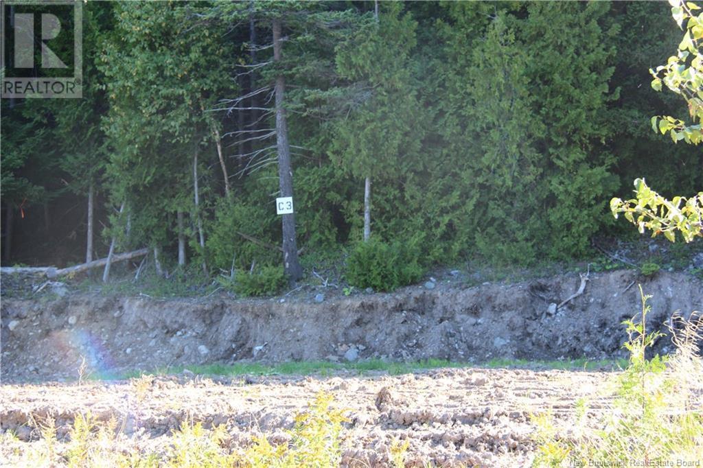 00 Drury Cove Road - Photo 4