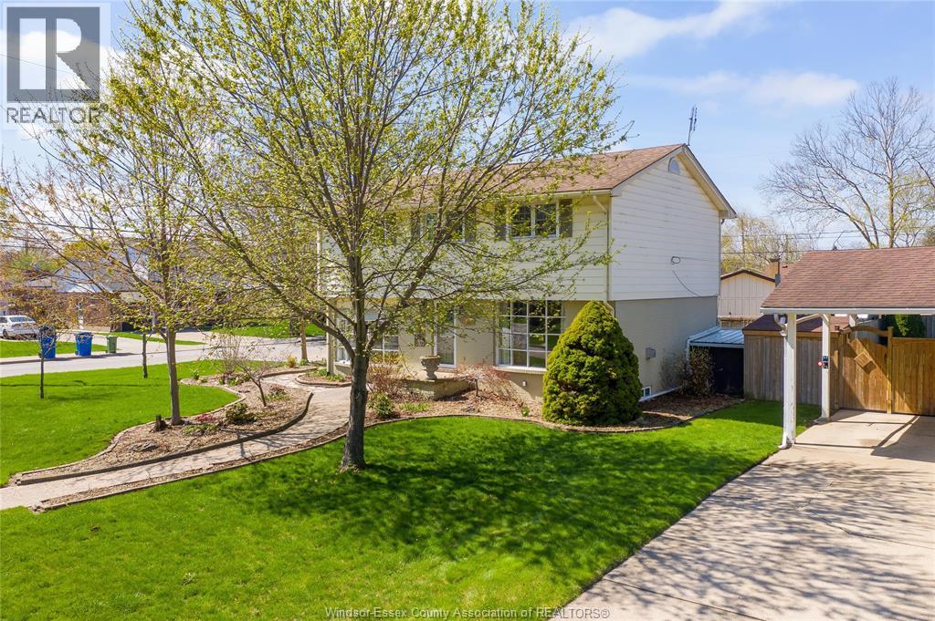 391 BETTY DRIVE