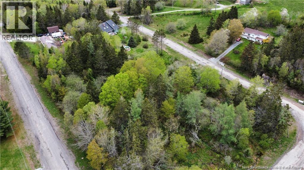 LOT Woodhaven Drive - Photo 3
