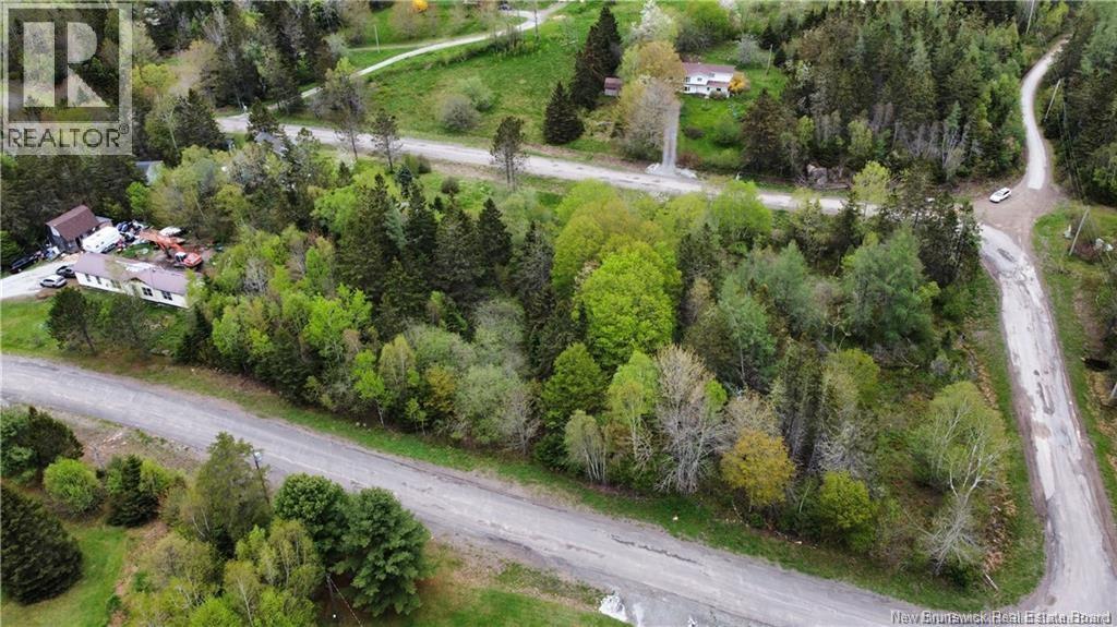 LOT Woodhaven Drive - Photo 4