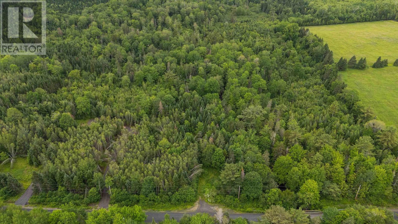 Lot 23-2 Chesley Road - Photo 4