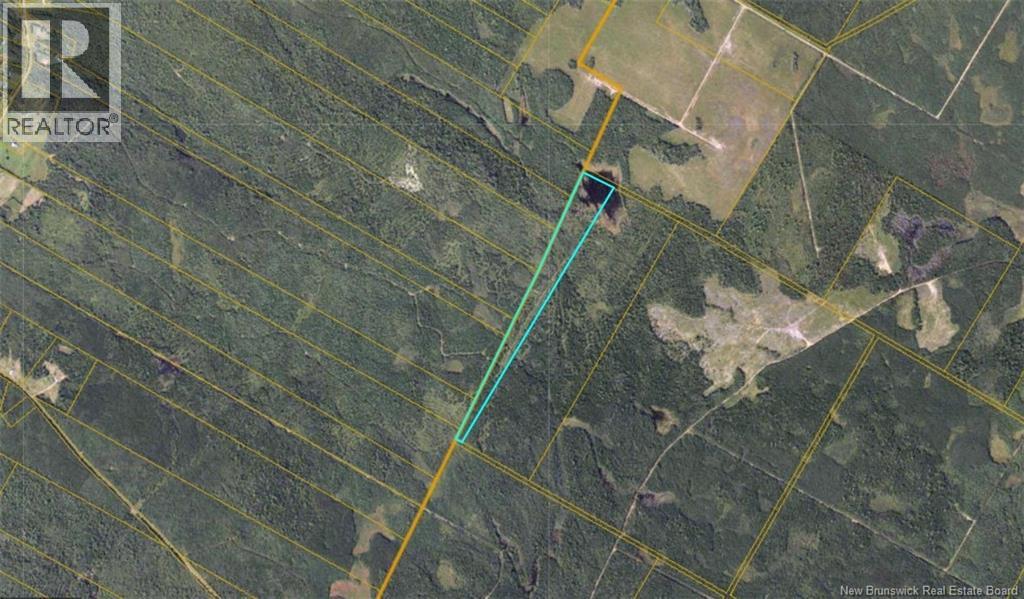 Patterson Road - Photo 2