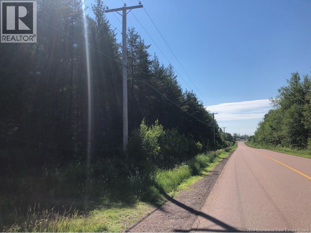 Lot 26-7 Route 495 - Photo 2