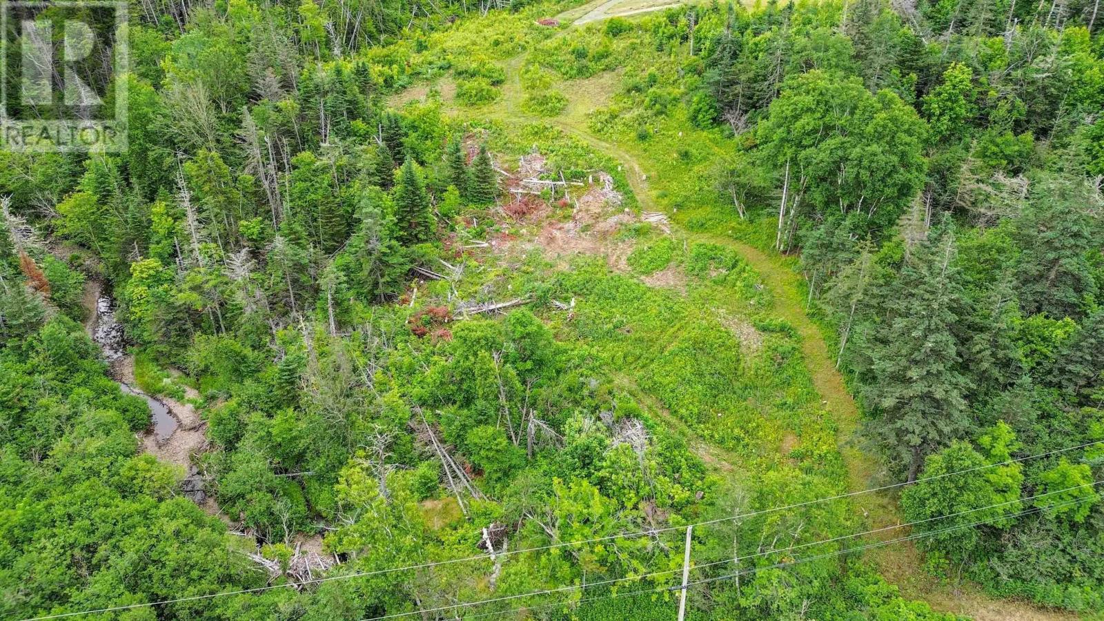 Lot 4 Old Baxter Mill Road - Photo 4