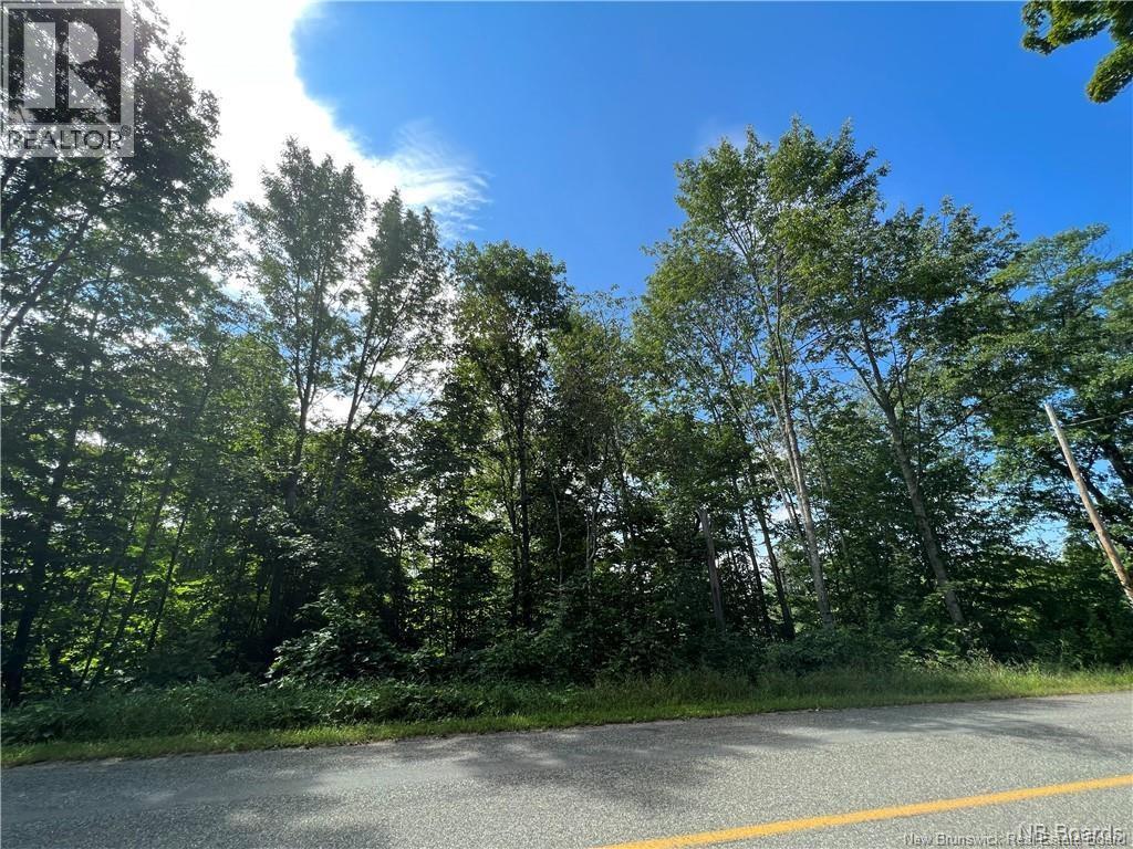 Vacant Lot 2 Route 105