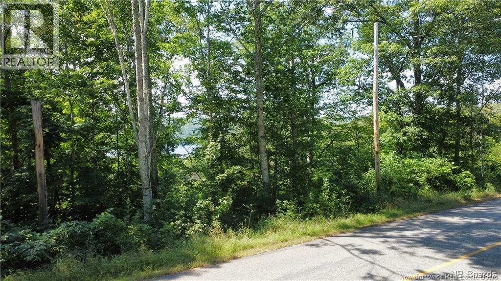 Vacant Lot 2 Route 105