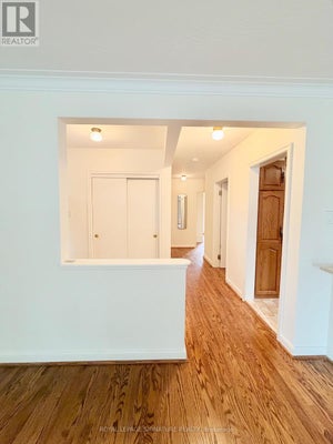 Main - 3 Avery Ave, Toronto (Markland Wood), ON 5
