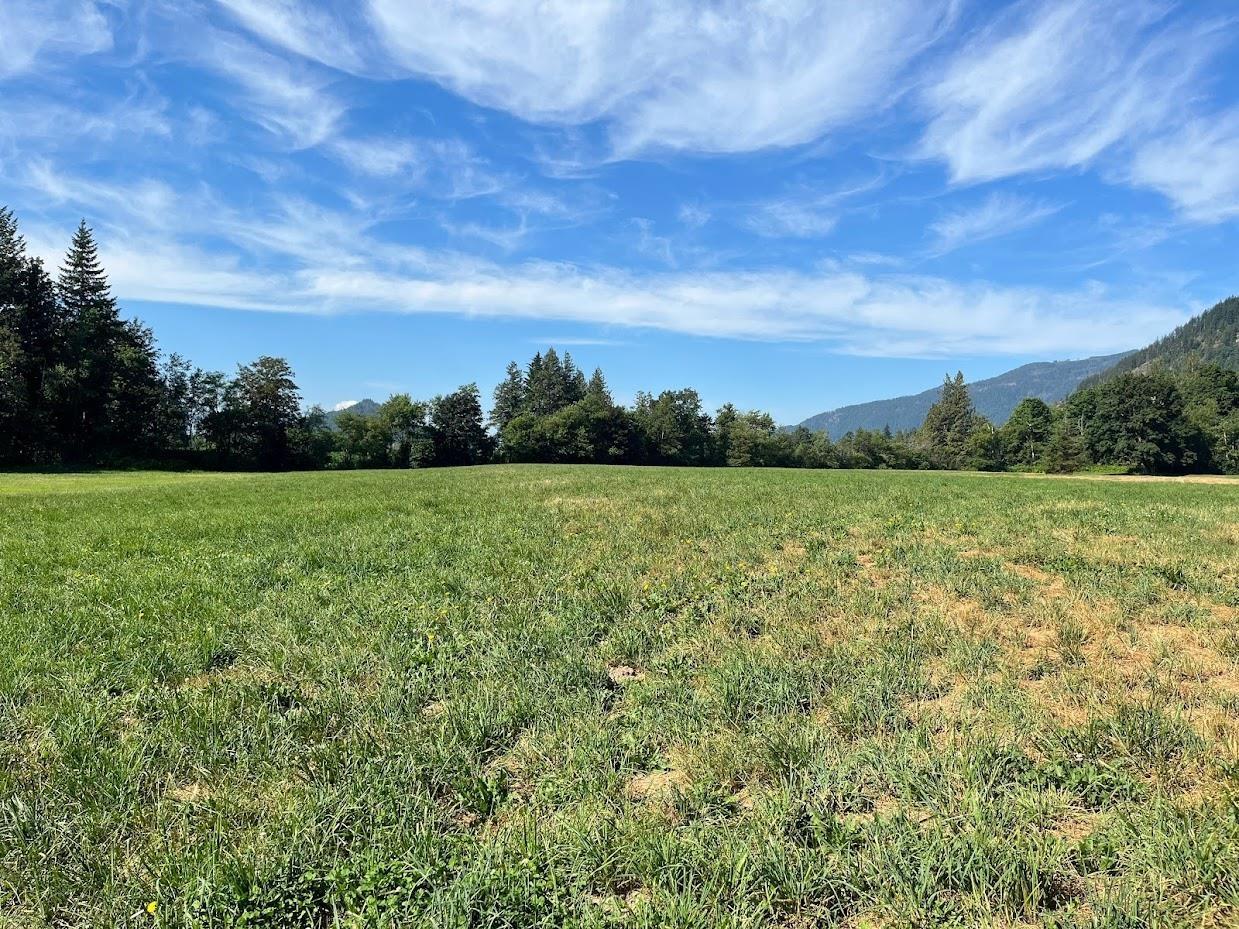 3705 HOT SPRINGS ROAD, Agassiz