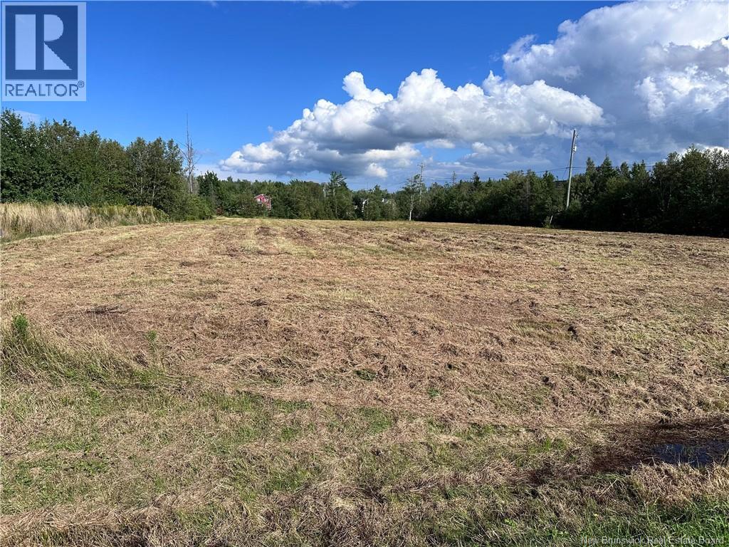 235 POINTE-A-NICET ROAD