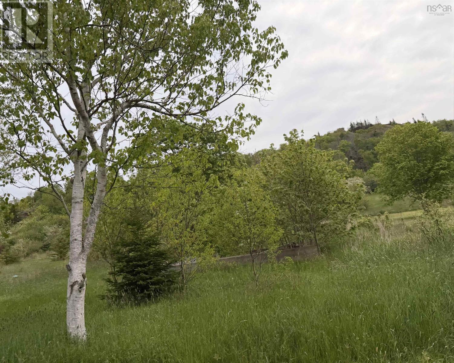 262 Trout Cove Road - Photo 4
