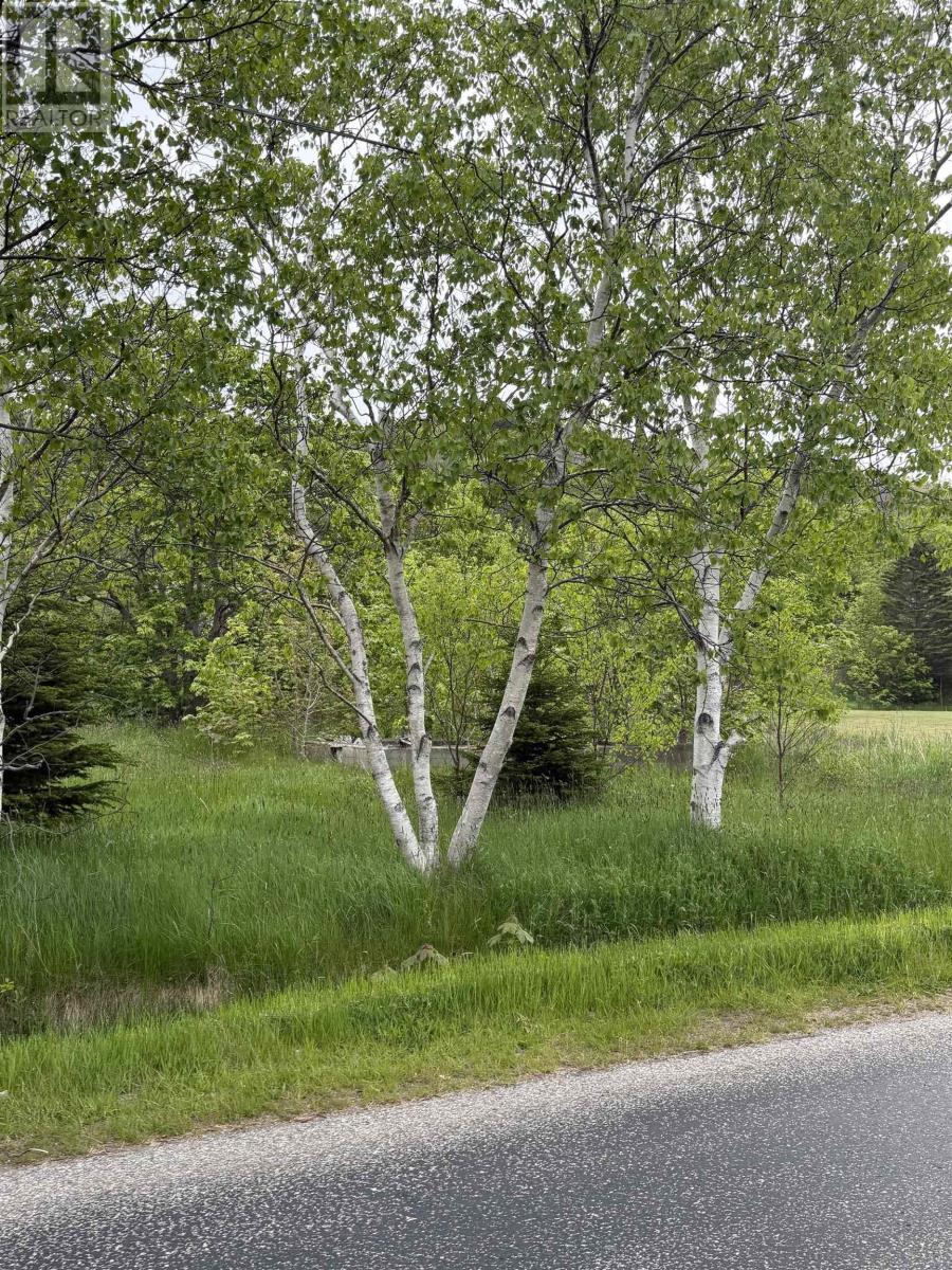 262 Trout Cove Road - Photo 3