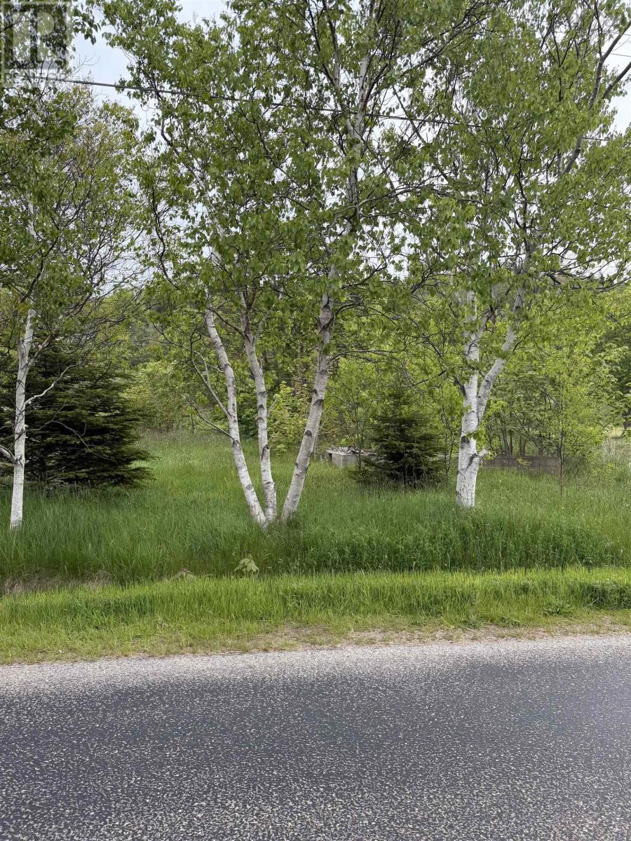 262 Trout Cove Road - Photo 2