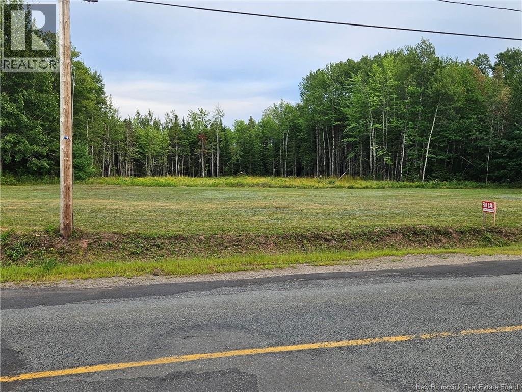 539 Route 670 - Photo 4