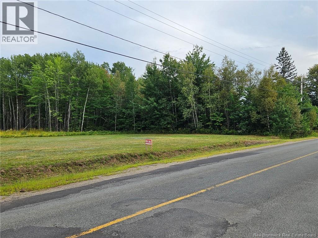 539 Route 670 - Photo 3