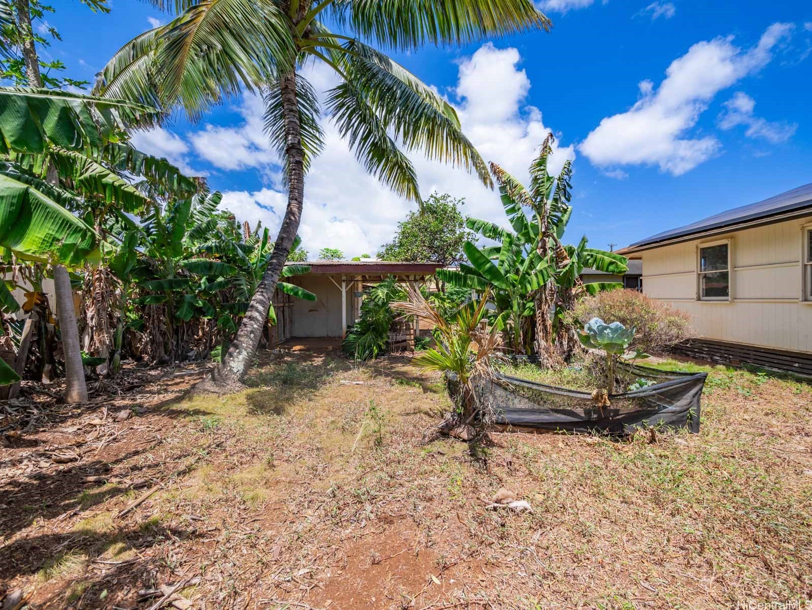 Waialua Home Residence