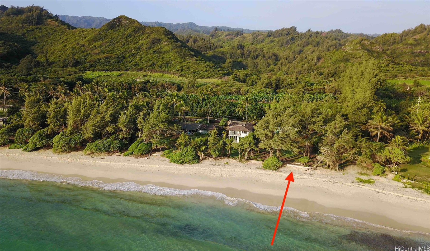 55-137 Kamehameha Highway B