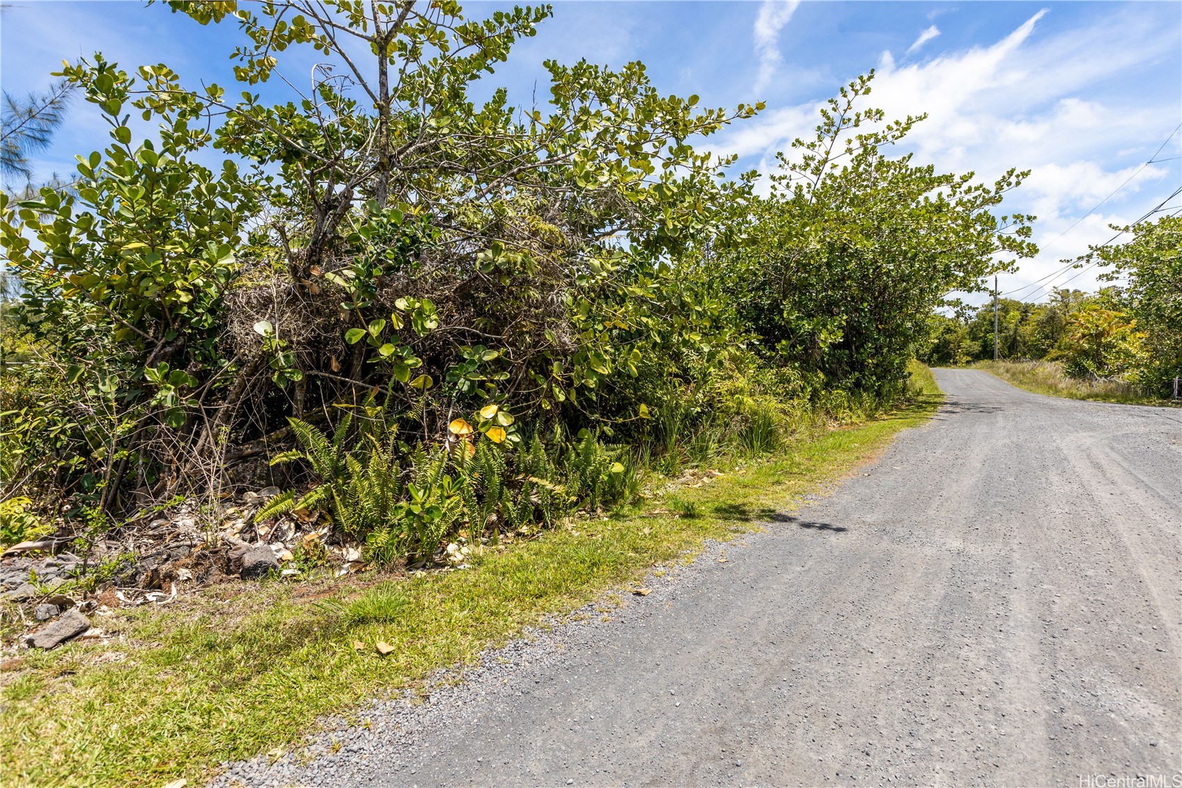 15-925 LEMIWAI Road