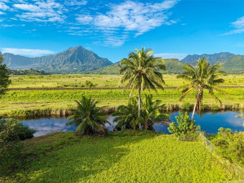 Photo of 221 Kihapai Street #1&2, Kailua, HI 96734 (MLS # 202610621)