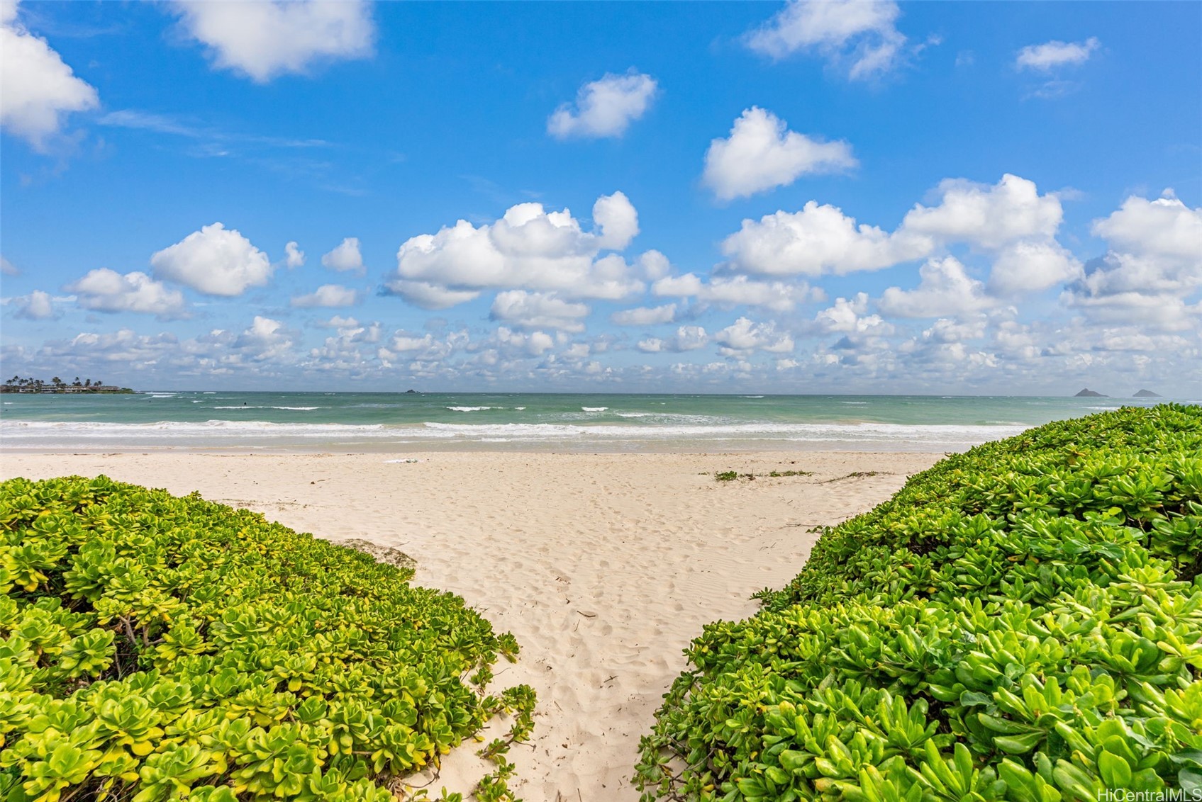 824 N Kalaheo Avenue A