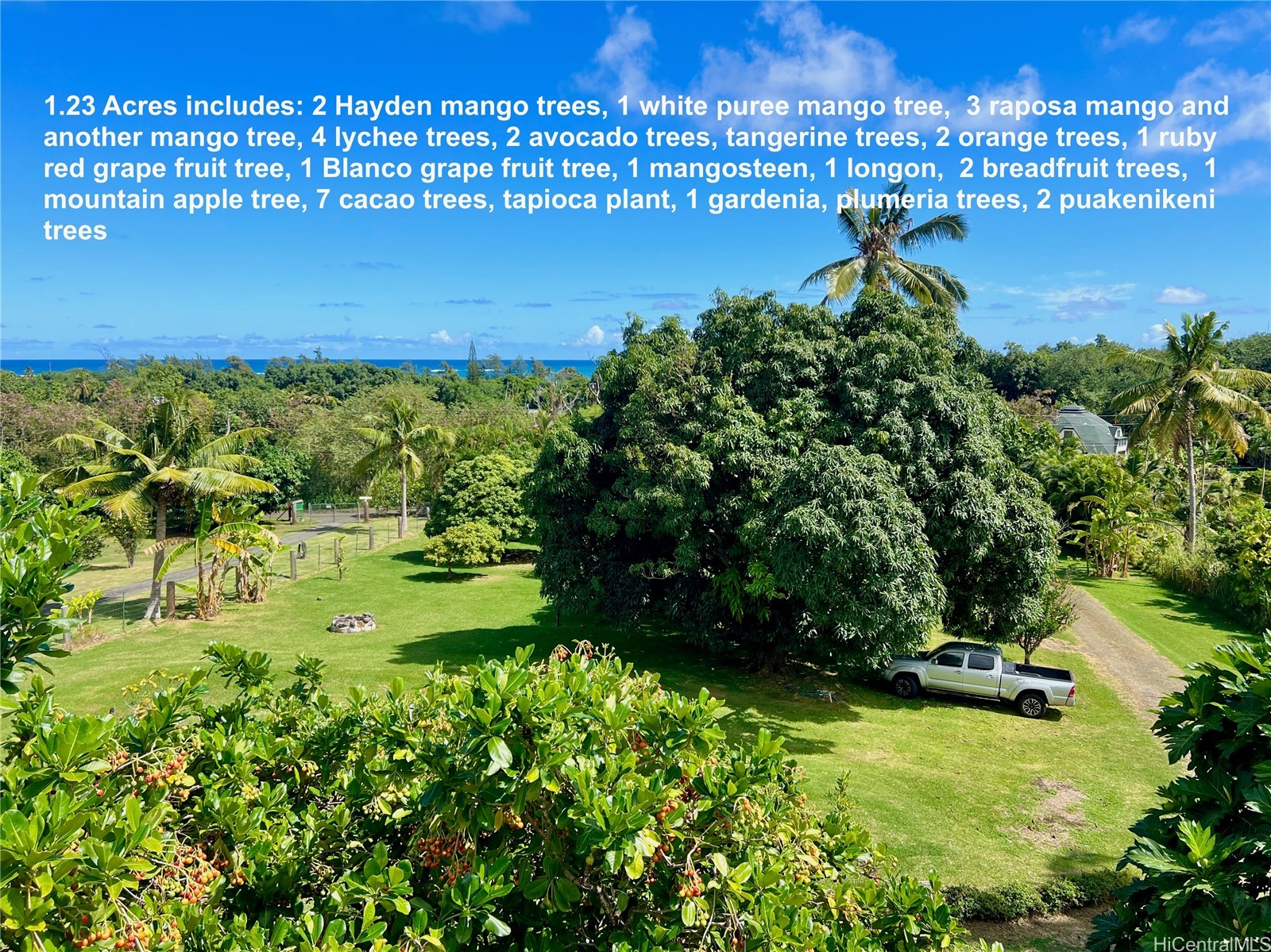 53-416 Kamehameha Highway A