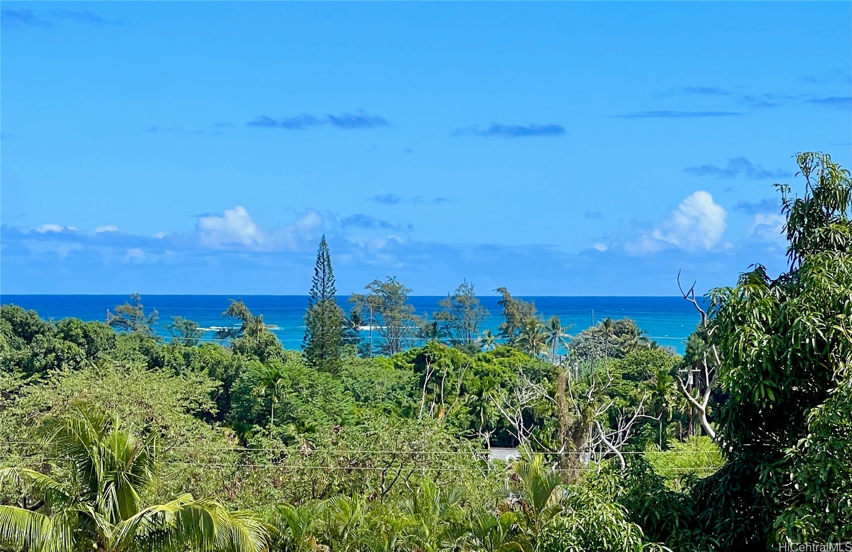 53-416 Kamehameha Highway A