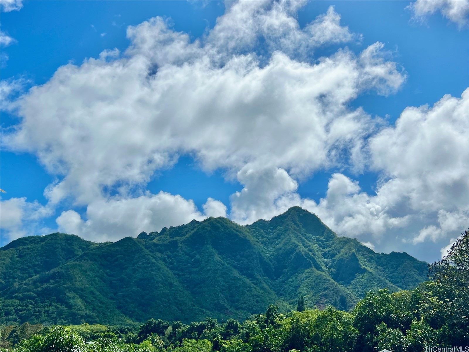 53-416 Kamehameha Highway A