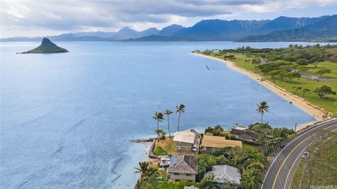 49-545 A Kamehameha Highway Kaneohe HI 96744