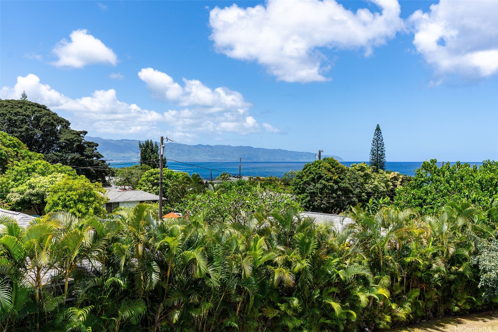 59-790 Kamehameha Highway