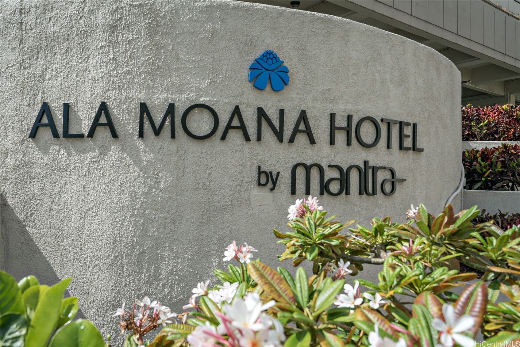 Ala Moana Hotel Condo Condominium
