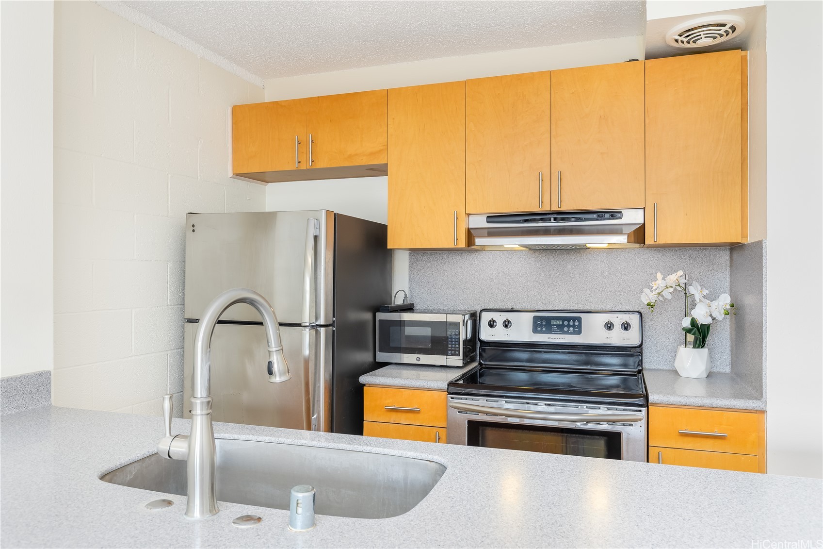 1642 Kewalo Street 308