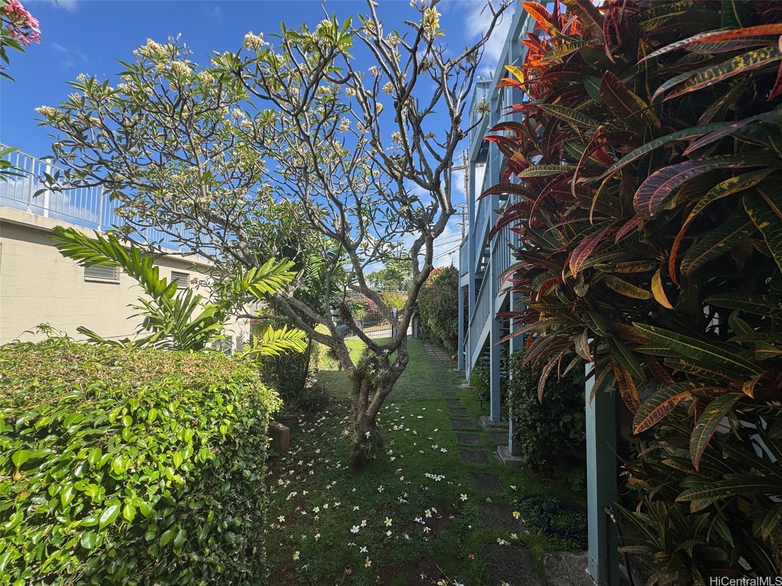 1617 Miller St Condominium