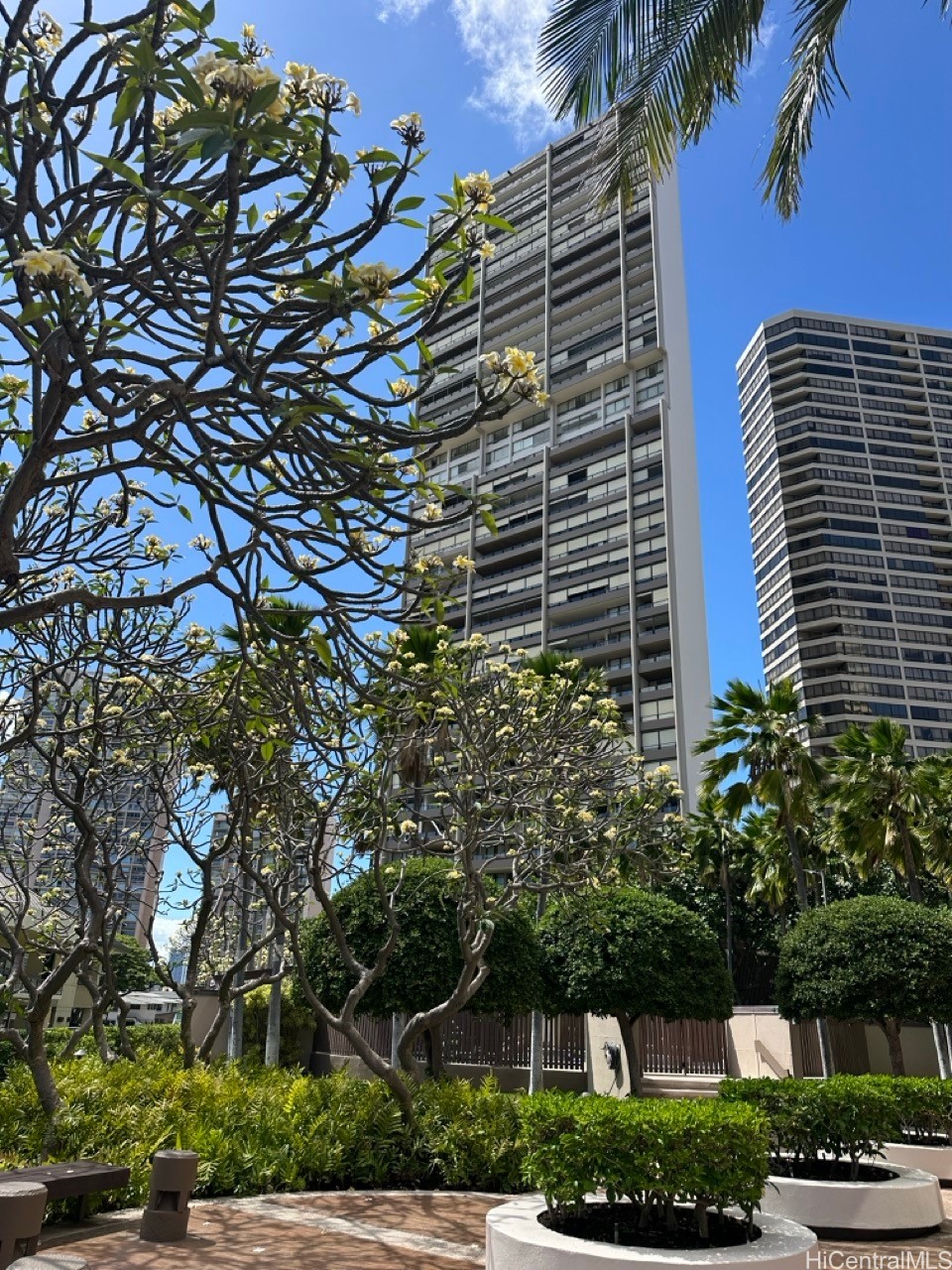 581 Kamoku Street 2202