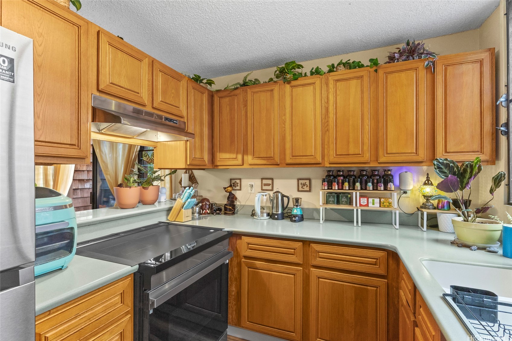 1015 Aoloa Place 313