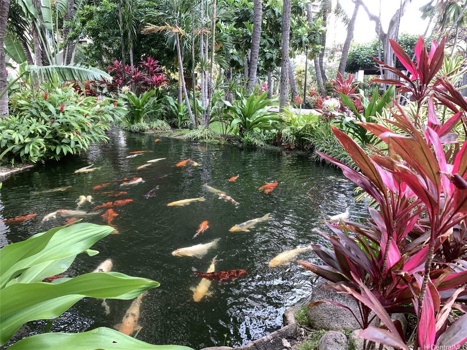 Liliuokalani Gardens Residential Lease