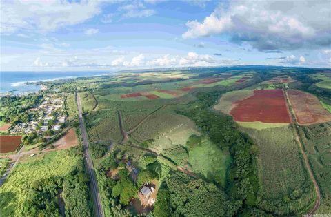 64-486 Kamehameha Highway 16-D Haleiwa HI 96712