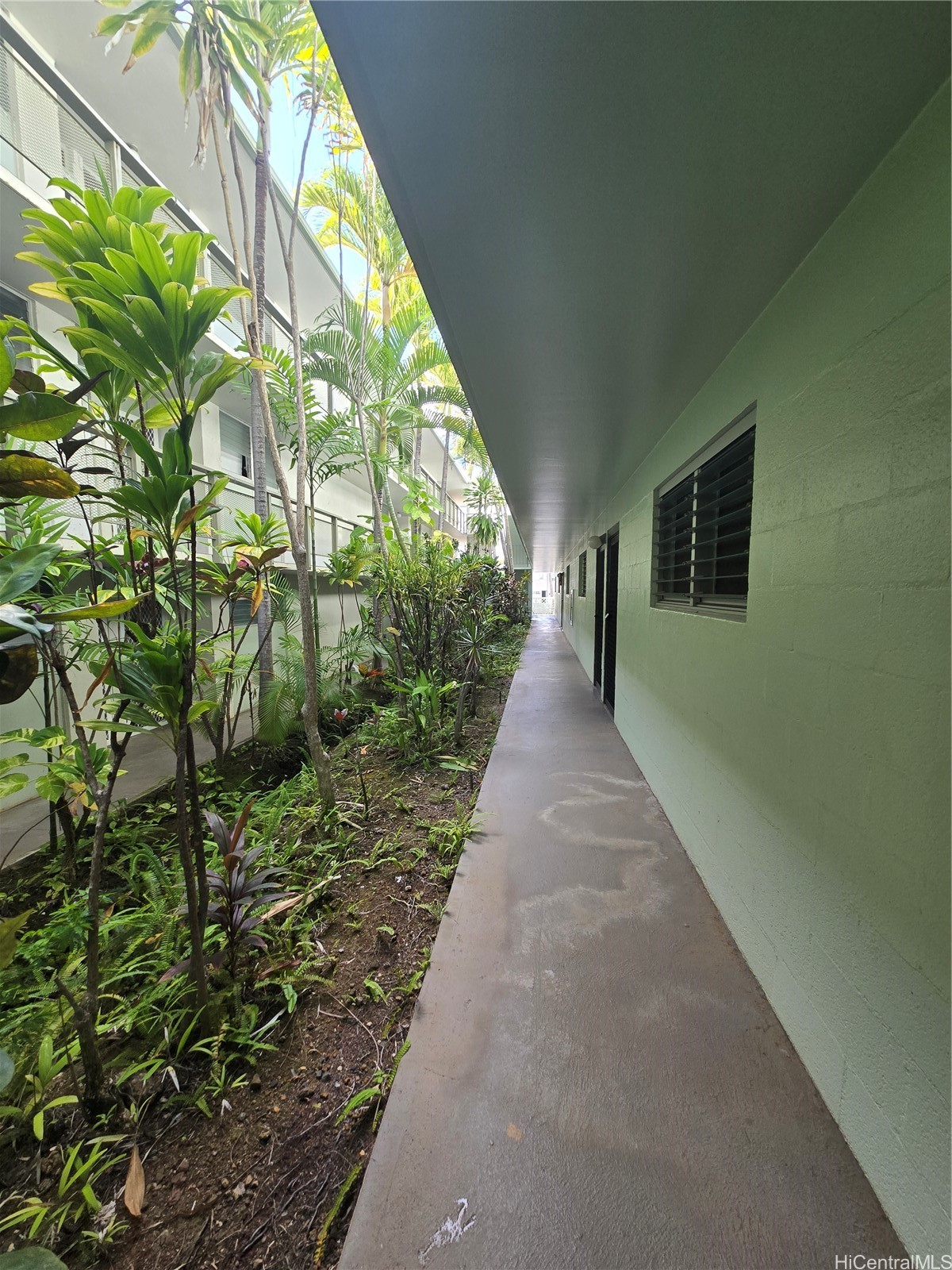 Diamond Head Plaza Condominium